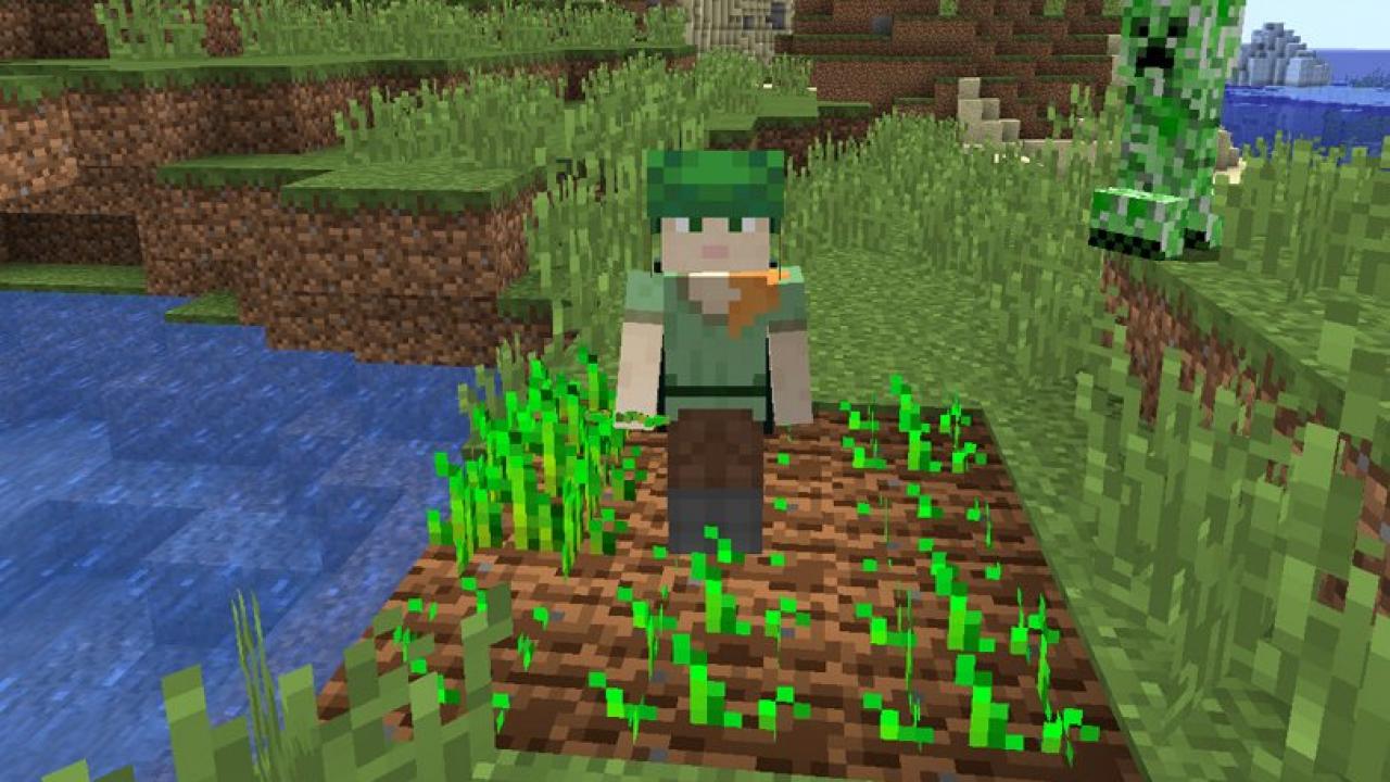 Resources which you should farm in Minecraft