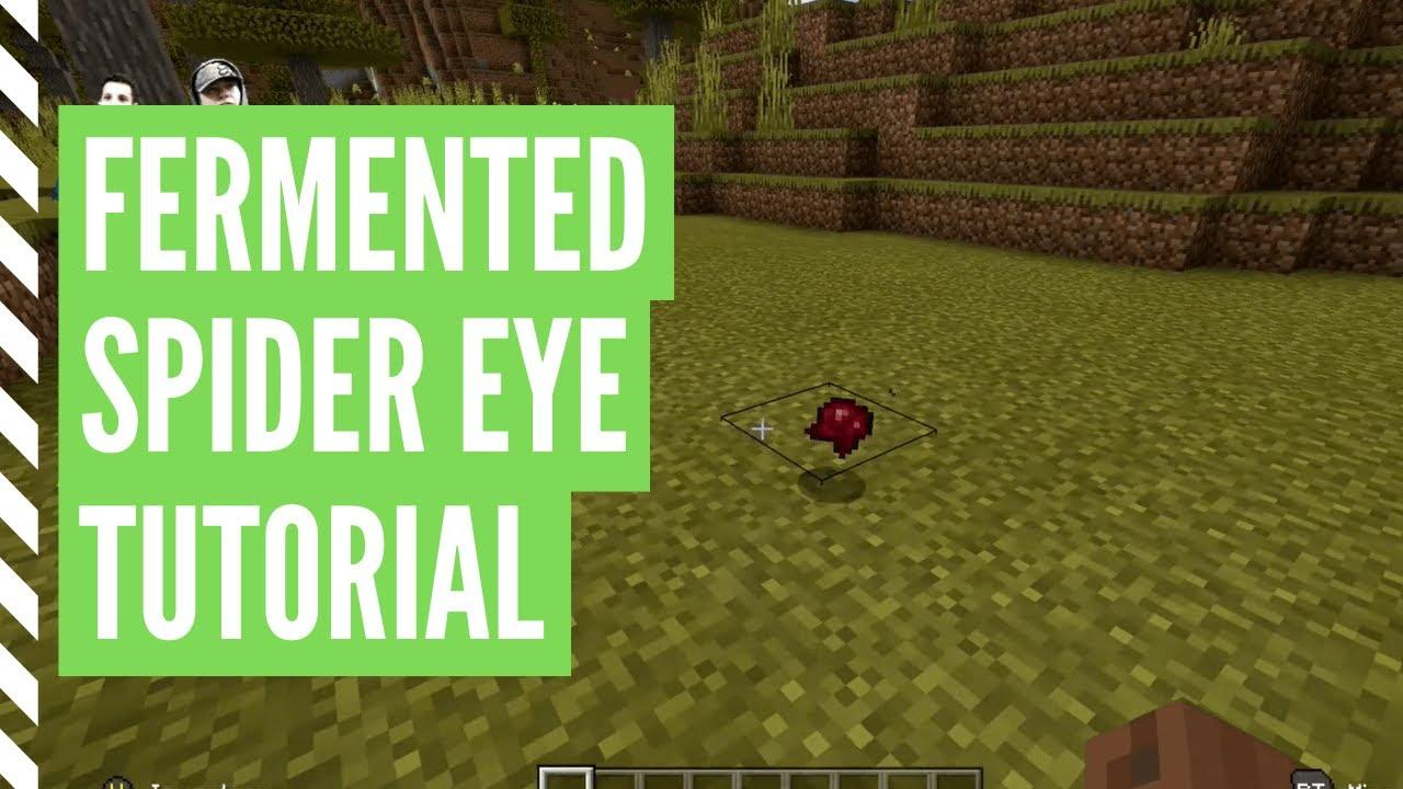 Minecraft Fermented Spider Eye Guide