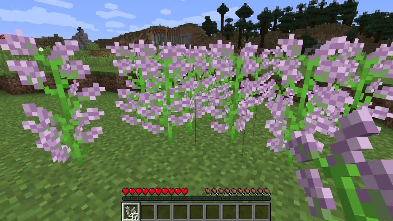 All you need to know about Lilac in Minecraft
