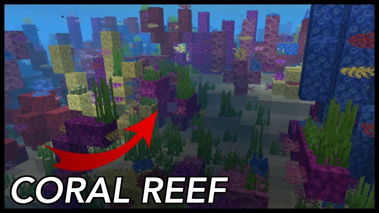 Minecraft Guide to grow Coral