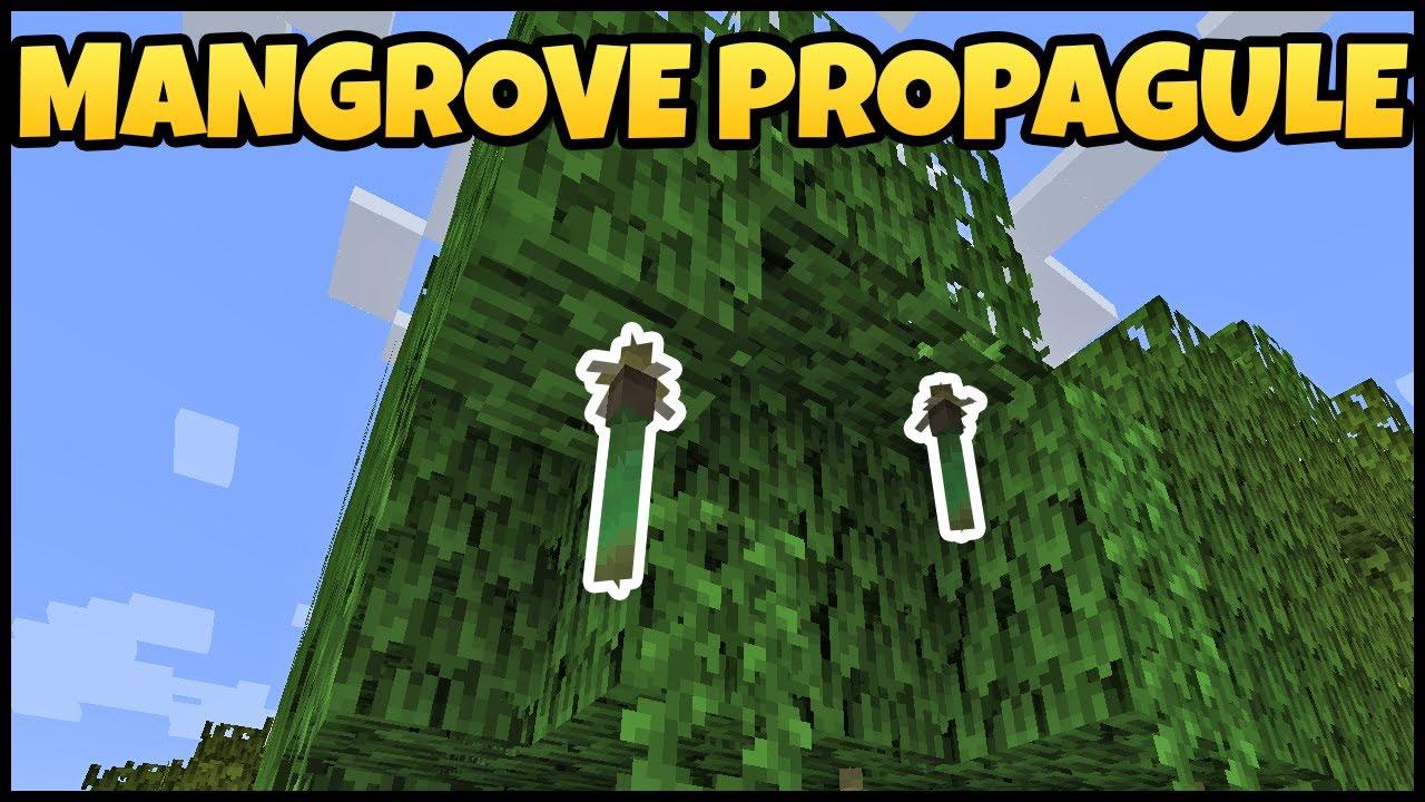 What is Mangrove Propagule in Minecraft?