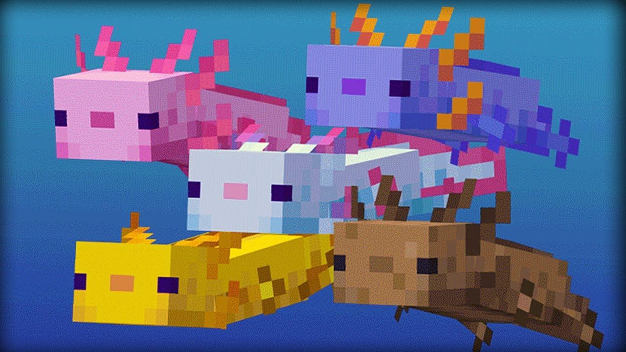 Uses of Axolotls in Minecraft