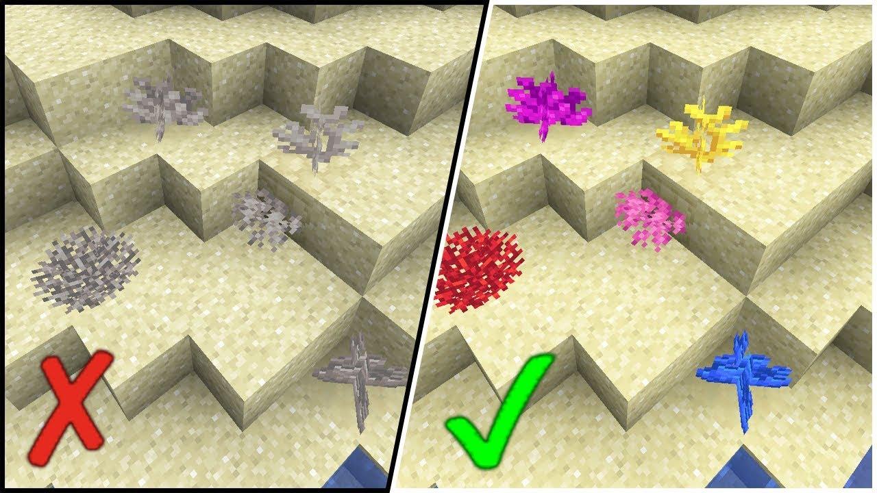 Best way to keep Coral Blocks alive in Minecraft