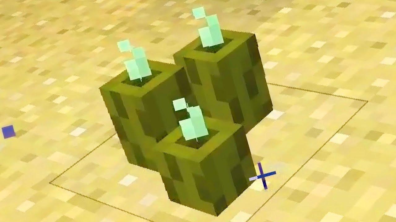 Minecraft Sea Pickles guide