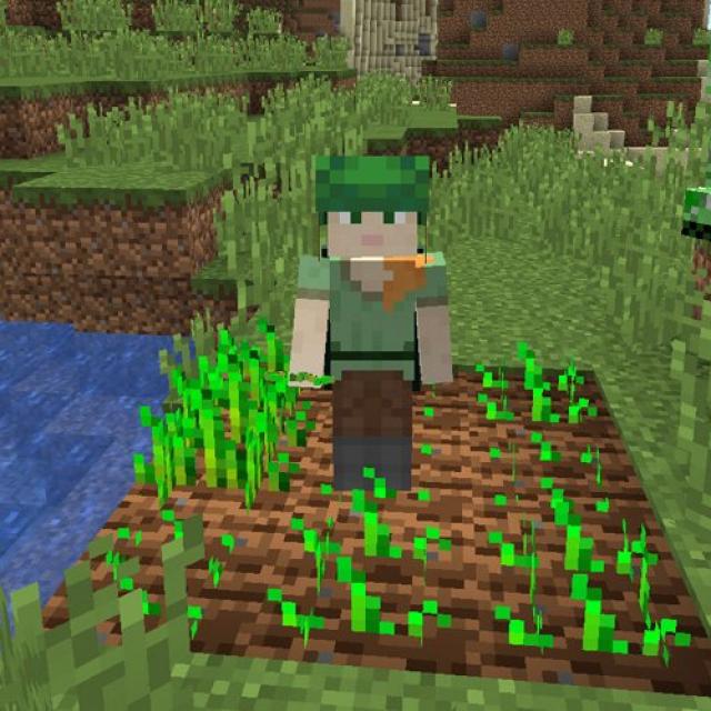 Resources which you should farm in Minecraft