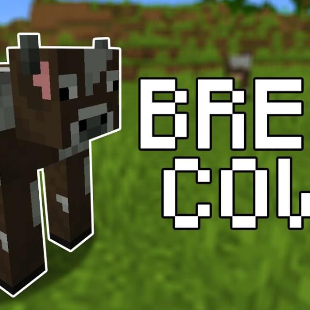 How do Cows breed in Minecraft?