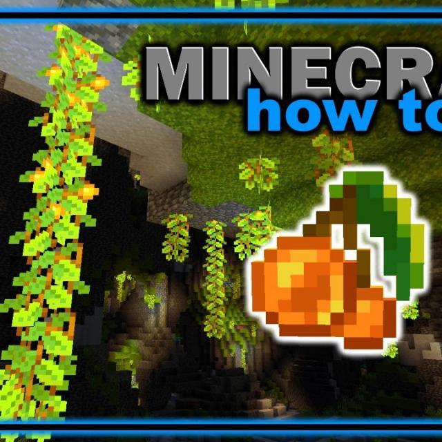 Cave Vines in Minecraft