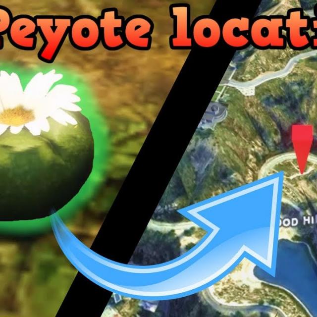 What are Peyote Plants in GTA V?