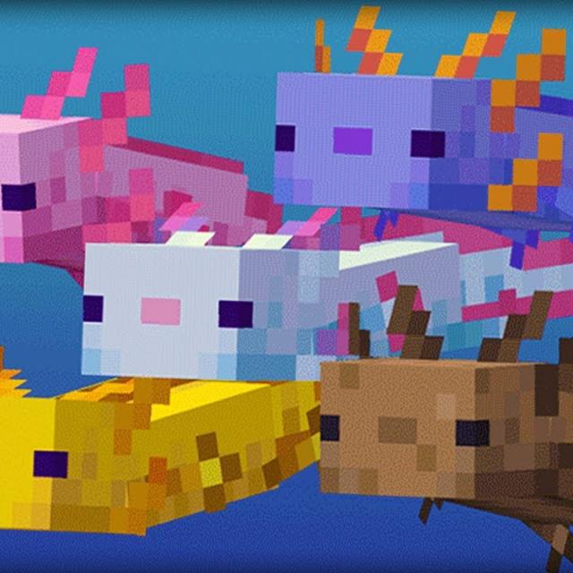Uses of Axolotls in Minecraft