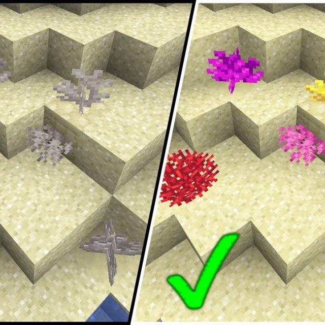 Best way to keep Coral Blocks alive in Minecraft